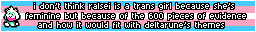 banner that reads “i don't think ralsei is a trans girl because she's feminine but because of the 600 pieces of evidence and how it would fit with deltarune's themes